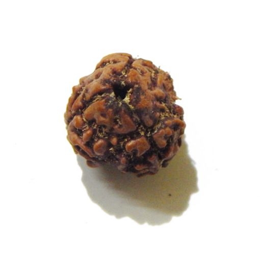 3 Face Nepali Rudraksha Bead
