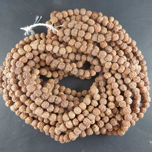 Picture of 10mm Rudraksha Perlenstrang Naturfarbe