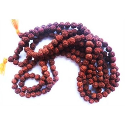 Picture of 11mm Rudraksha Perlenstrang