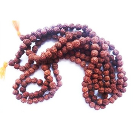 Picture of 14mm Rudraksha Perlenstrang