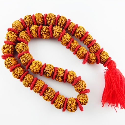 Picture of Kanthi Mala- 5 Face Napali Rudraksha