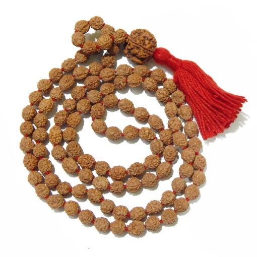 Picture of 4 Face 8mm Rudraksha Mala with 4 Face Big Nepali Rudraksha
