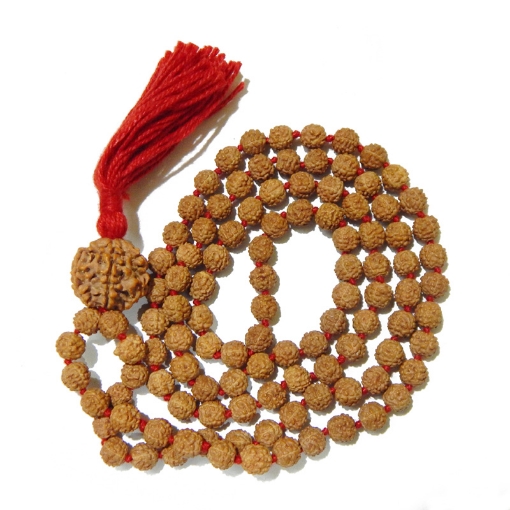 Picture of 6 Face Big Nepali Rudraksha with 5 Face 7mm Rudraksha Mala 