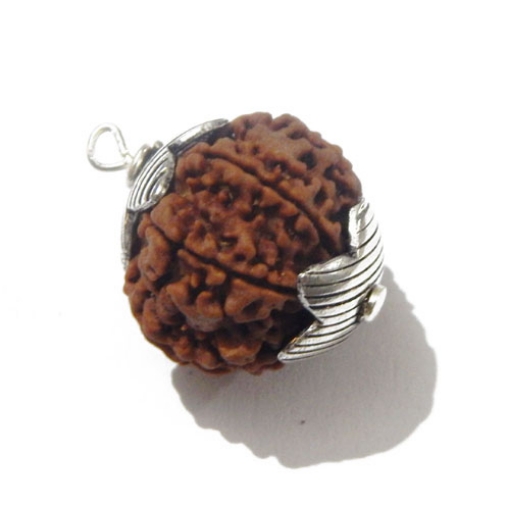 7 face rudraksha 
