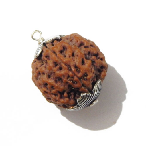 Six Face Rudraksha Pendant