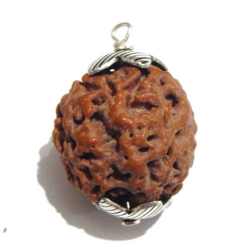 Four Face (Mukhi) Nepali Rudraksha Pendant